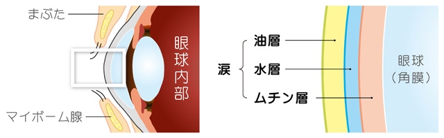 点眼薬による治療