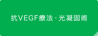 抗VEGF療法・光凝固術